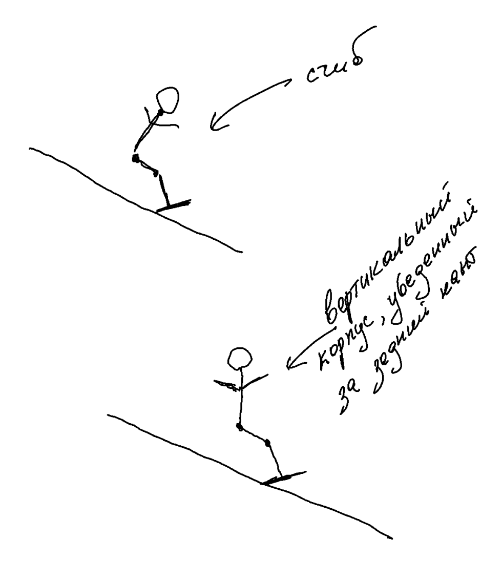 Diagram 1. The fold and its absence on the back edge