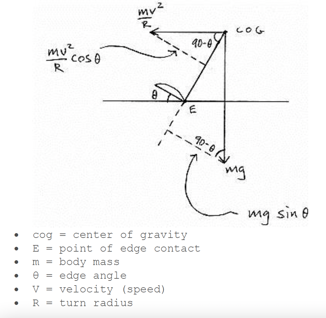 Diagram 1. An illustration of the equilibrium of the centre of mass (cog) and the centrifugal force.